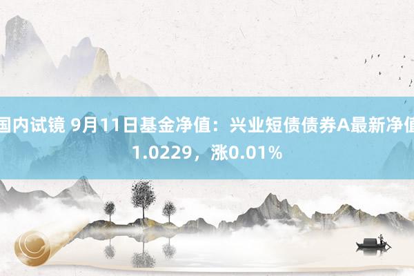 国内试镜 9月11日基金净值：兴业短债债券A最新净值1.0229，涨0.01%