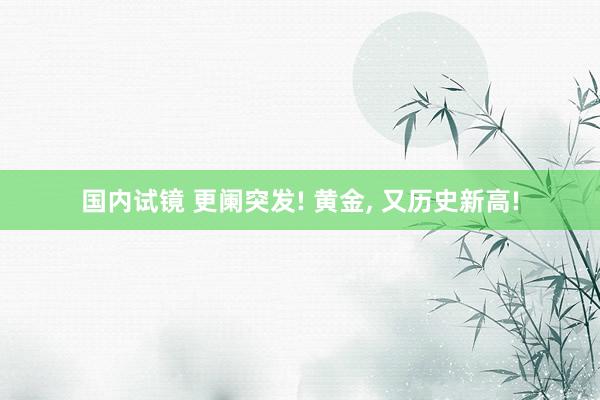 国内试镜 更阑突发! 黄金， 又历史新高!