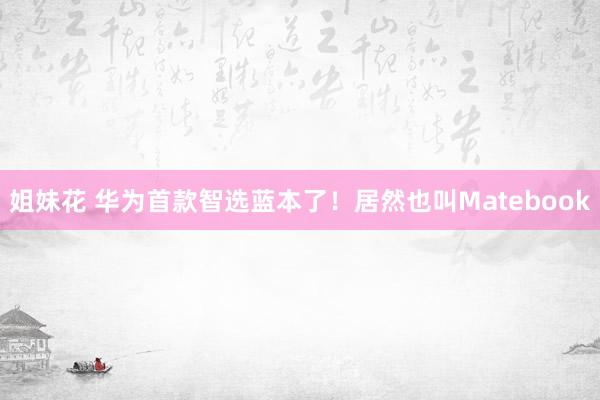姐妹花 华为首款智选蓝本了！居然也叫Matebook