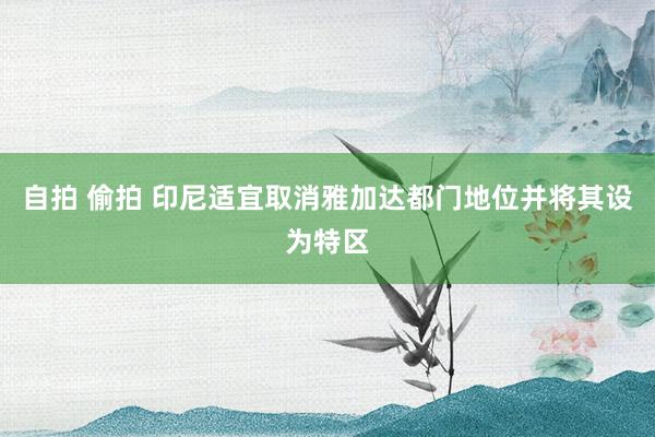 自拍 偷拍 印尼适宜取消雅加达都门地位并将其设为特区