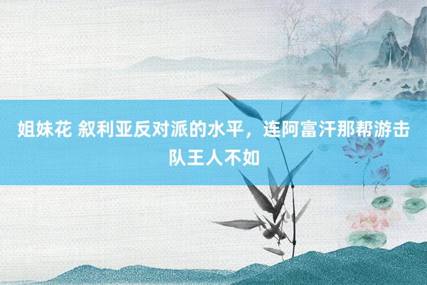 姐妹花 叙利亚反对派的水平，连阿富汗那帮游击队王人不如