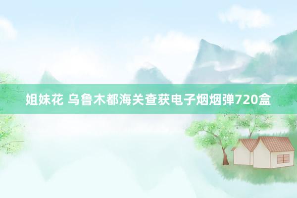 姐妹花 乌鲁木都海关查获电子烟烟弹720盒