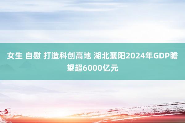 女生 自慰 打造科创高地 湖北襄阳2024年GDP瞻望超6000亿元