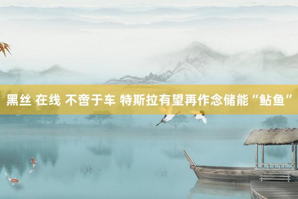黑丝 在线 不啻于车 特斯拉有望再作念储能“鲇鱼”